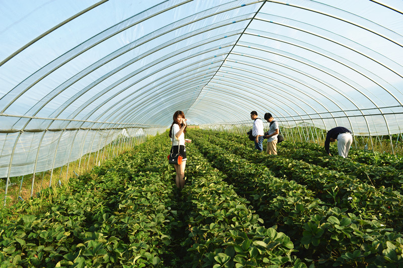 休闲足迹好去处---明光一日游-资讯-E滁州